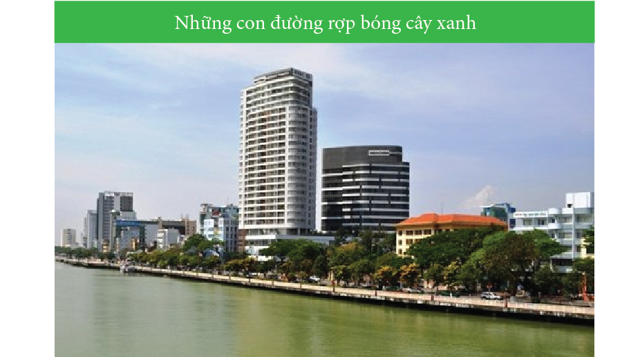 Đà Nẵng - Thành phố môi trường 6